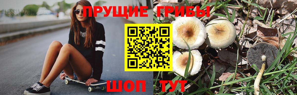 Псилоцибиновые грибы MAGIC MUSHROOMS Протвино