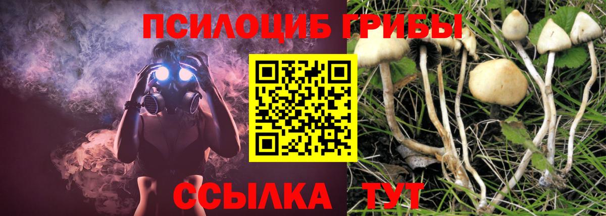 Протвино  Псилоцибиновые грибы Cubensis  Псилоцибиновые грибы GOLDEN TEACHER  Вход с VPN 